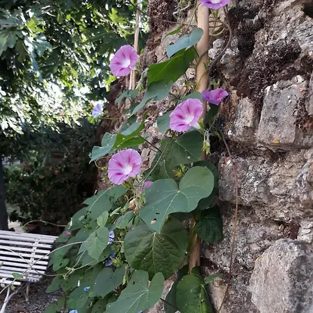 Penzion Mas De La Chadenede 3*