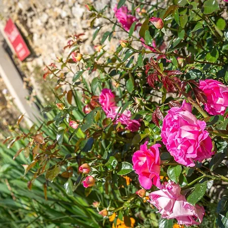 Mas De La Chadenede Guest house Lagorce (Ardeche)
