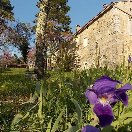 Mas De La Chadenede Lagorce (Ardeche)